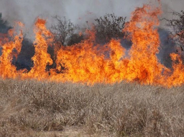 Rangeland fire